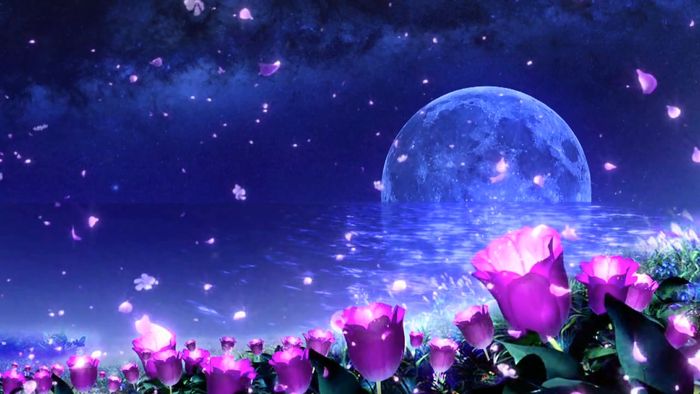 �����¹���ɫ������Ƶ