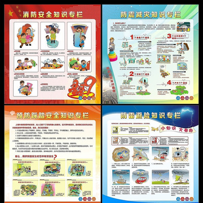 ѧУ������ȫչ����� CDR