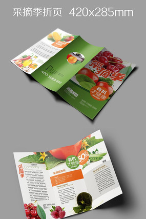 ��������ժ