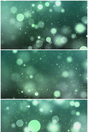 Ψ����߶�̬������Ƶ mov