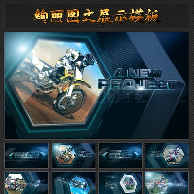 ��ɫѤ��ͼ��չʾ��Ƶģ�� aep