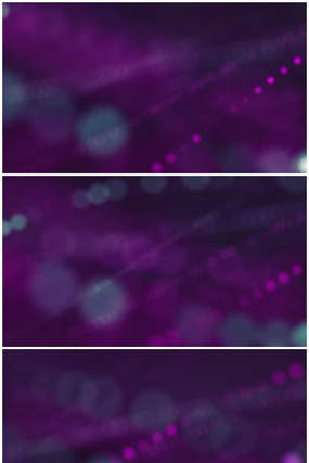 ��ɫ��������������̬������Ƶ mov