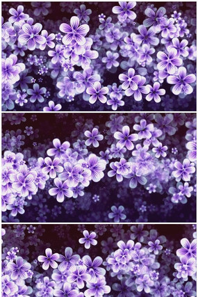 ��ɫ����Ψ��Ʈɢ��Ƶ mov