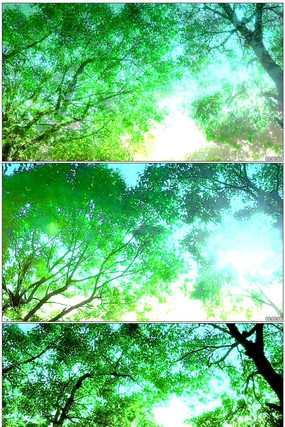  ����͸������ʵ�Ķ�̬�ز�