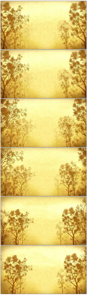 ��ȥʱ�⻳�ɱ�����Ƶ