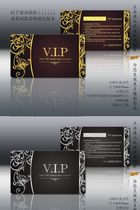 ����ŷʽ�Ƶ�VIP����� CDR