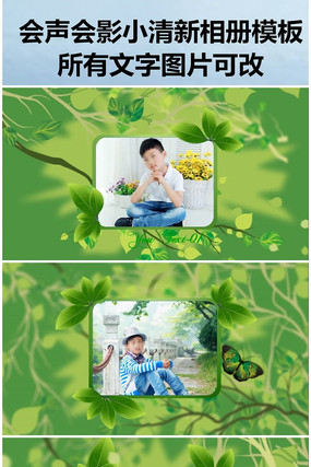 ������ӰС�������ģ�� vsp