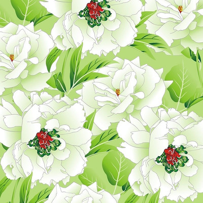 ǳ������Ů��ӡ��ͼ�� CDR