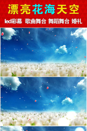 Ψ����ջ���������̨ mov