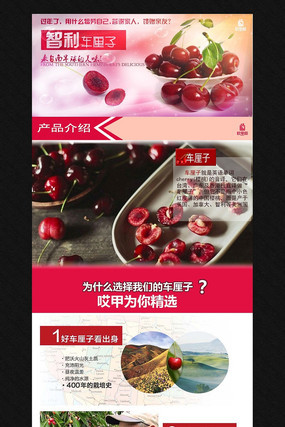 �Ա���è����������ҳģ�� PSD