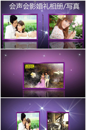  ����д����������Ƶģ�� vsp