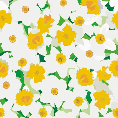 ��ʽʸ����ɫ�ջ�ͼ�� CDR