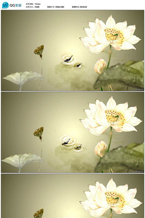 �й���ɻ���Ƶ�ز� mov