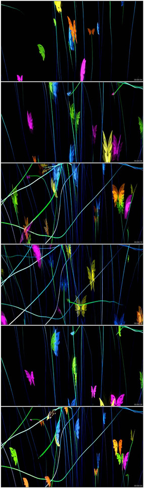  ��ɫ����������Ƶ