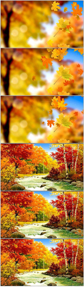 ��������Ҷʵ����Ƶ�ز�