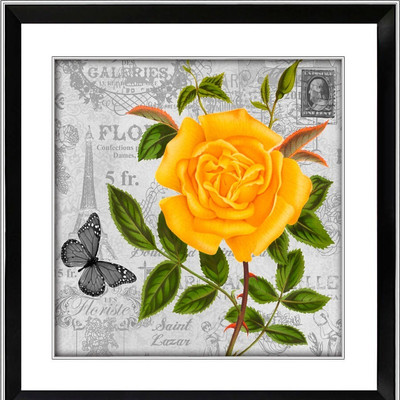 ŷ��Ӣ��װ���ز�