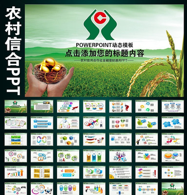 ũ�����ú�����֧����ũPPT pptx