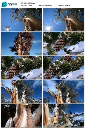 ��β����Ƶ�ز�