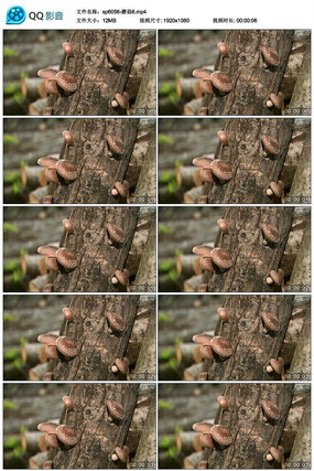 �����ϵ��㹽