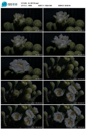 ��д�������ز�