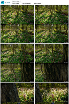 ��Ԙ����Ƶ�ز�