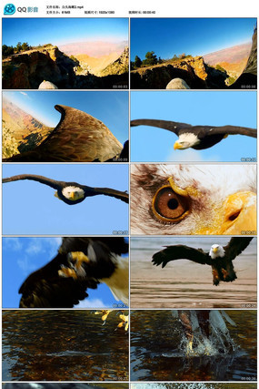 ��ͷ����������Ƶ