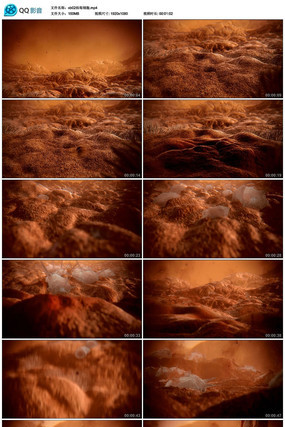 ����ϸ����Ƶ