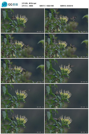 ������в�����Ƶ�ز�