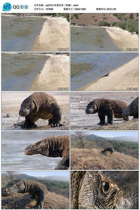 ��Ī�����