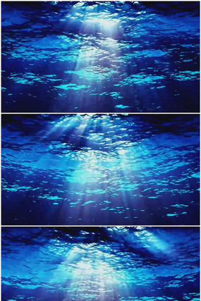 ���׹�����Ƶ���� mov