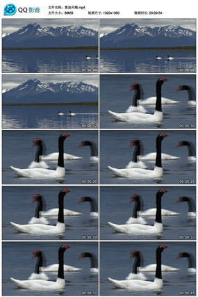 ��ɽ������