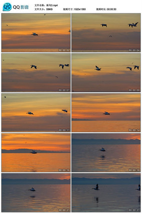 �ƻ������еĺ�����Ƶ�ز�