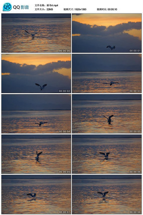 �ƻ��µĺ�����Ƶ�ز�