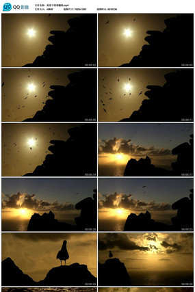 �ƻ��º���