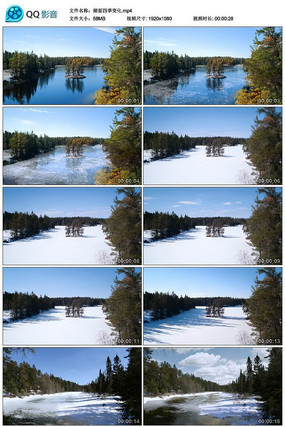 ��ľ����