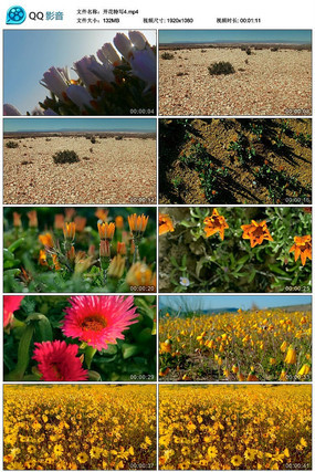 ���⿪����д��Ƶ�ز�