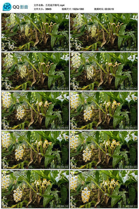 ����������д