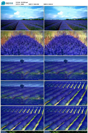 ��ɫ���²�԰��Ƶ�ز�