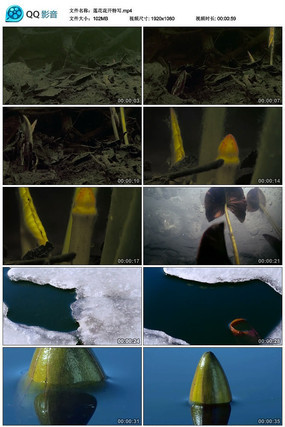 ����������д��Ƶ�ز�