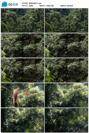 Ʈ�����������Ƶ�ز�