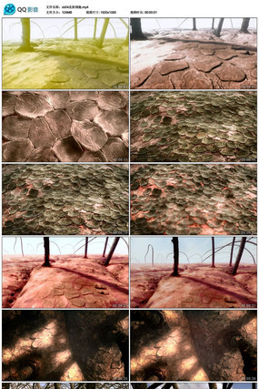 Ƥ��ϸ����Ƶ