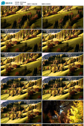 ���쾰ɫ��Ƶ�ز�