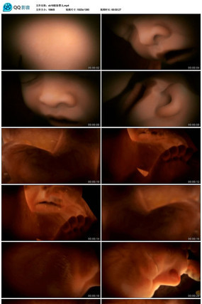 ������̥Ӥ����Ƶ