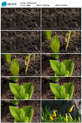 ʱ���֤������д��Ƶ�ز�