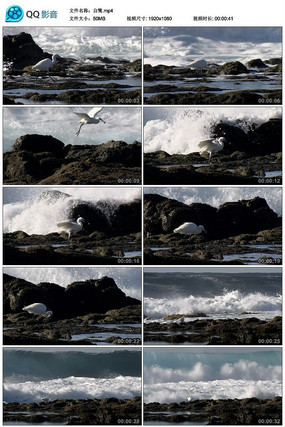 ʵ�ĺ��߱�Ե�İ�����Ƶ�ز�