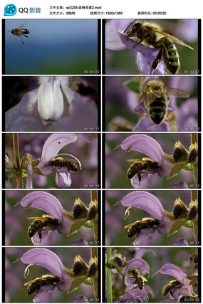 ʵ���۷������Ƶ