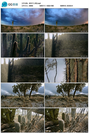 ����ǧ������Ƶ�ز�