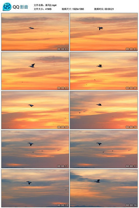 Ψ���ƻ��·��еĺ���ʵ����Ƶ