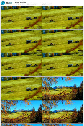 ��Ȼ�����������