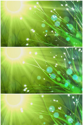 Ψ��������ɫ������Ƶ���� mov